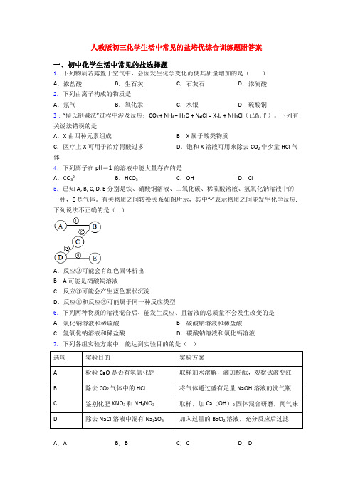 人教版初三化学生活中常见的盐培优综合训练题附答案