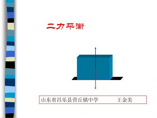 二力平衡_课件