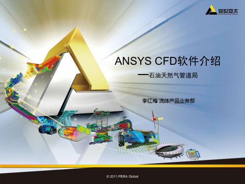 ANSYS CFD软件介绍——石油天然气管道局