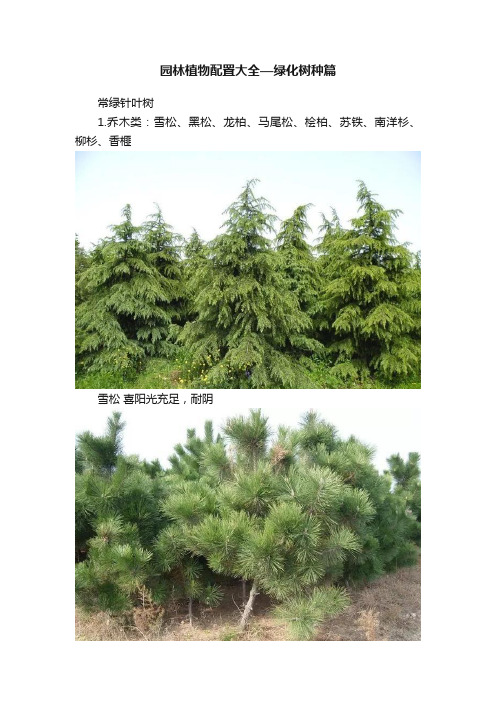 园林植物配置大全—绿化树种篇