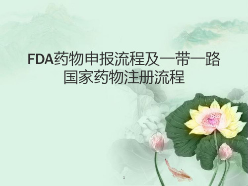 FDA药物申报流程及一带一路国家药物注册流程.ppt