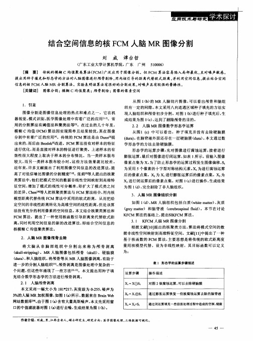 结合空间信息的核FCM人脑MR图像分割