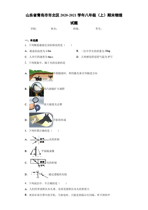 山东省青岛市市北区2020-2021学年八年级(上)期末物理试题