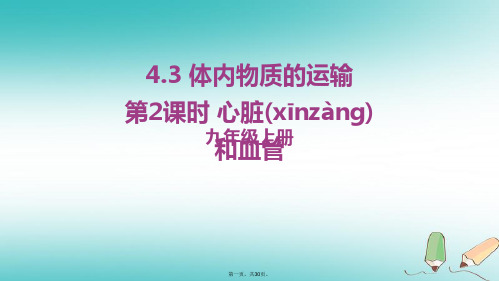 九年级科学上册第4章代谢与平衡4.3体内物质的运输第2课时心脏和血管教学课件新版浙教版