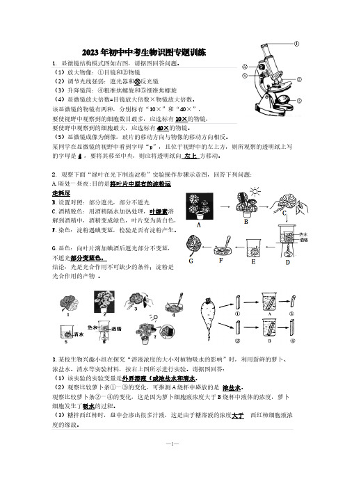 2023年初中中考生物识图专题训练【含答案】