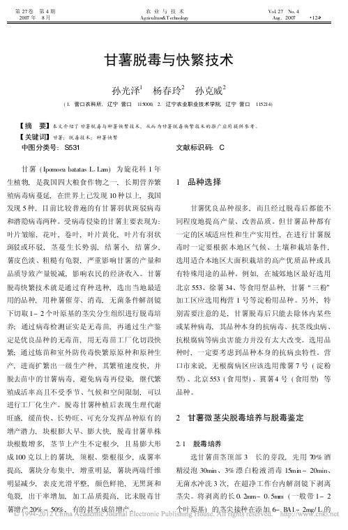 甘薯脱毒与快繁技术_孙光泽