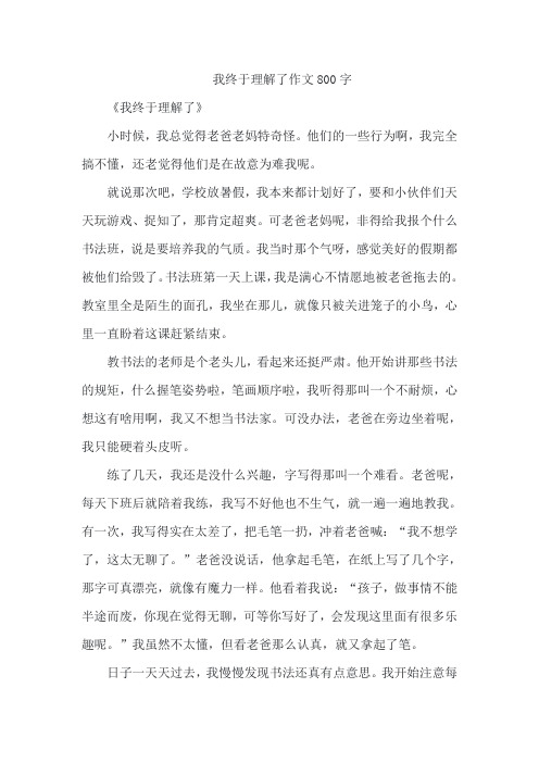 我终于理解了作文800字