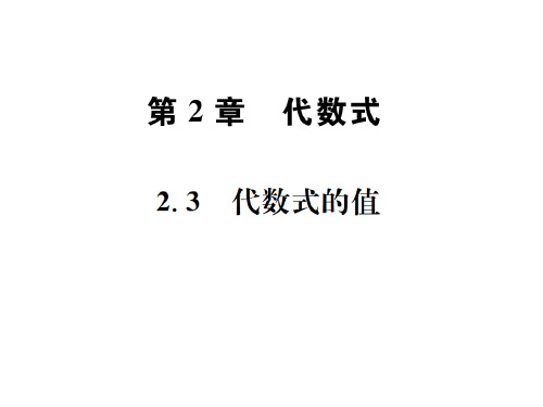 秋七年级数学上册课件(湘教版):2.3 代数式的值(共21张PPT)
