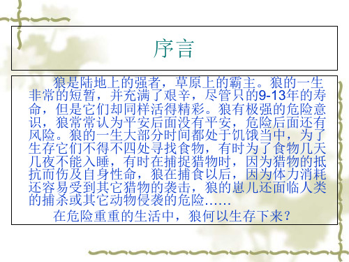 狼性管理培训讲义