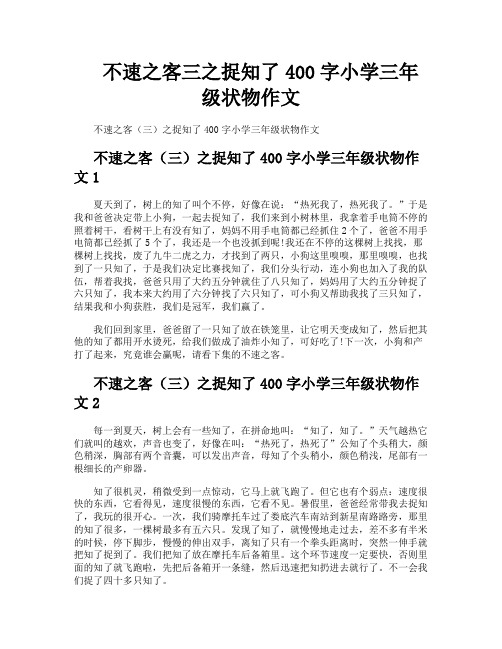 不速之客三之捉知了400字小学三年级状物作文