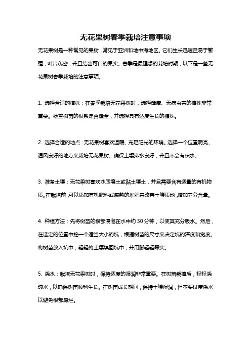 无花果树春季栽培注意事项