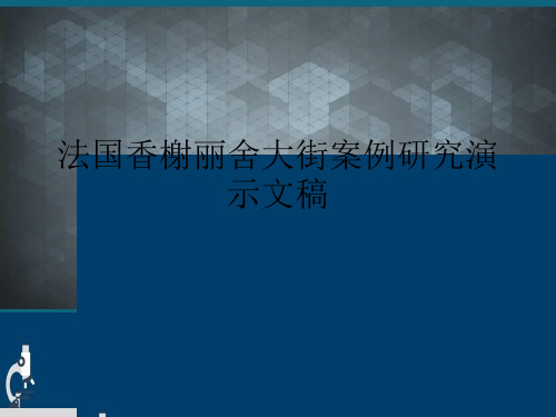 法国香榭丽舍大街案例研究演示文稿