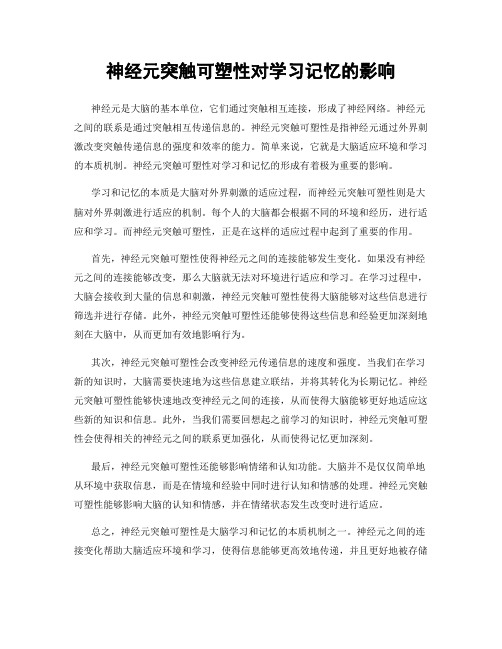 神经元突触可塑性对学习记忆的影响