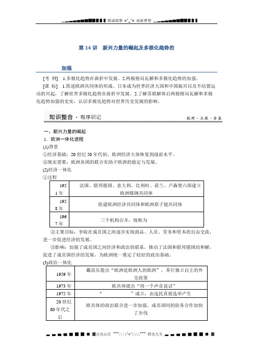 高考历史一轮复习教案(人民版)专题五 第14讲 新兴力量的崛起及多极化趋势的