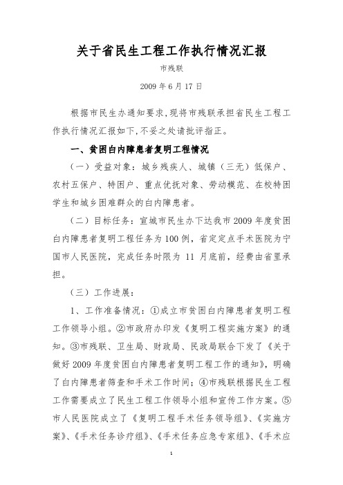 关于省民生工程工作执行情况汇报