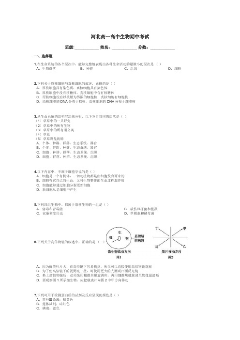 河北高一高中生物期中考试带答案解析
