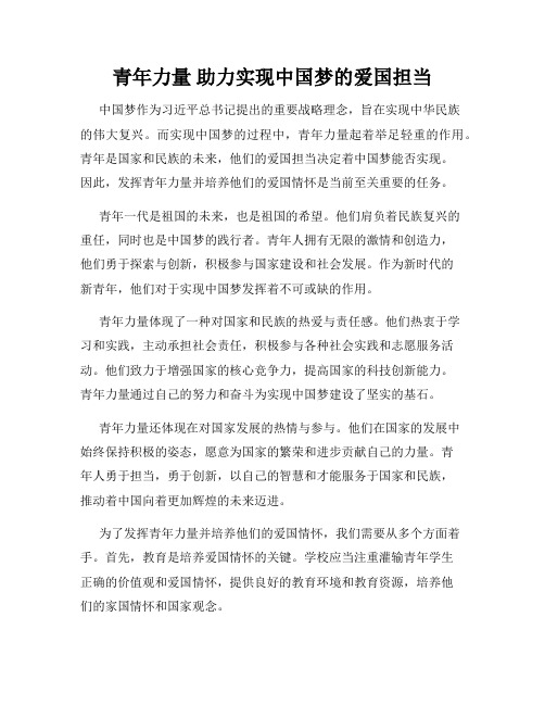 青年力量 助力实现中国梦的爱国担当