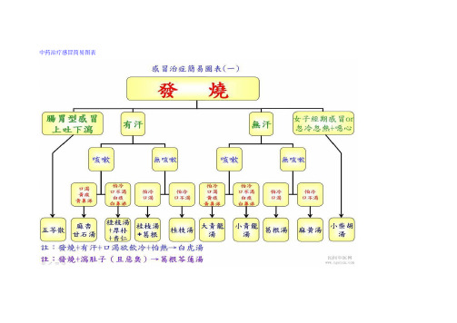 中药治疗感冒简易图表(精校版)