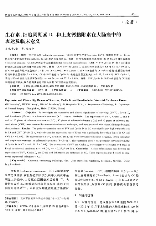 生存素、细胞周期素D_1和上皮钙黏附素在大肠癌中的表达及临床意义