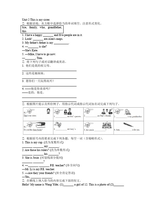 Unit 2 This is my sister综合练习 人教版七年级英语上册  