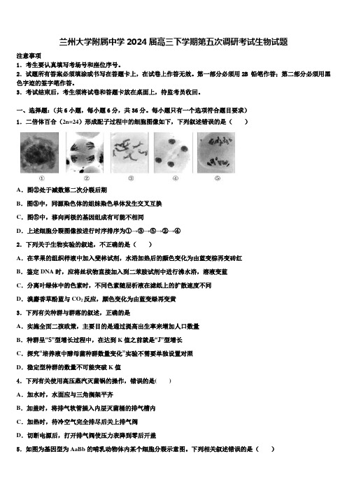 兰州大学附属中学2024届高三下学期第五次调研考试生物试题含解析