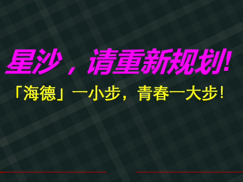 佐佑地产长沙海德公园形象定位报告P