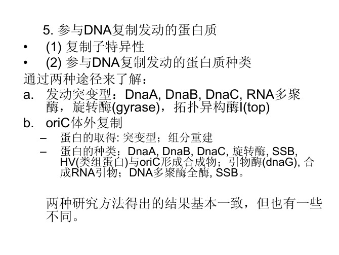 分子遗传学_DNA复制_2010_2