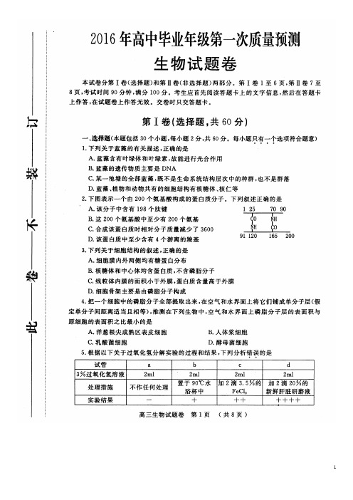 河南省郑州市高三生物第一次质量检测试题