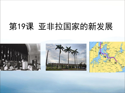 《亚非拉国家的新发展》PPT【优秀课件PPT】