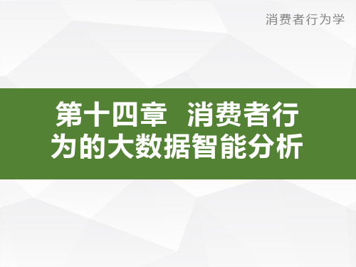 第14章 消费者行为的大数据智能分析消费者行为学导论卢泰宏