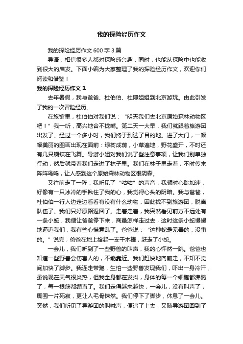 我的探险经历作文600字3篇