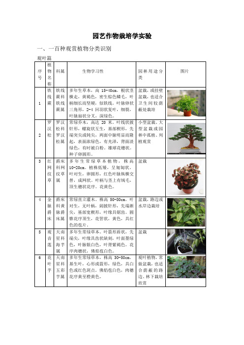 一百种观赏植物分类识别