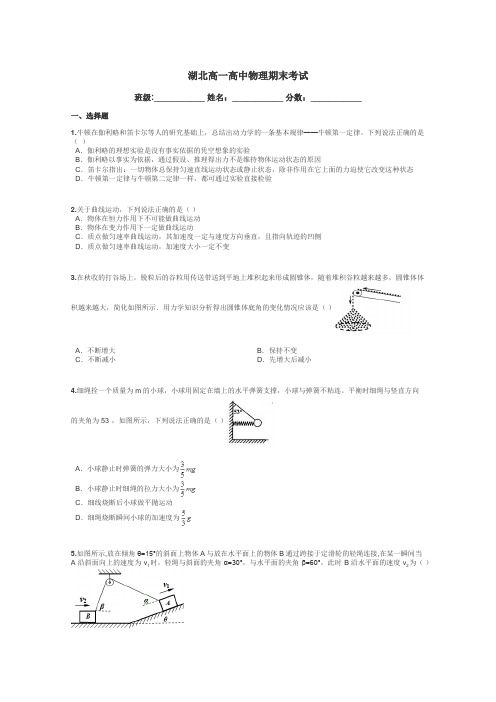 湖北高一高中物理期末考试带答案解析
