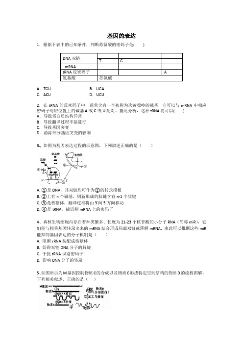 基因的表达(转录、翻译、中心法则)包含答案