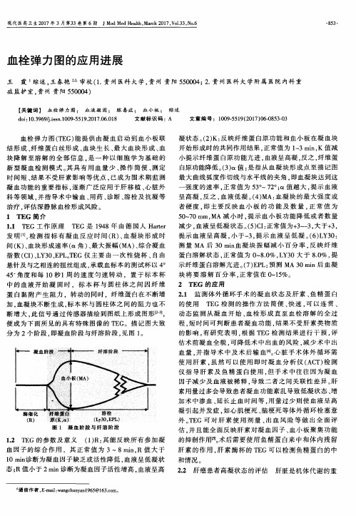 血栓弹力图的应用进展