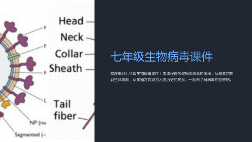 七年级生物病毒课件