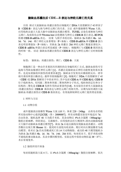 脑缺血再灌注后CIDE—B表达与神经元凋亡的关系