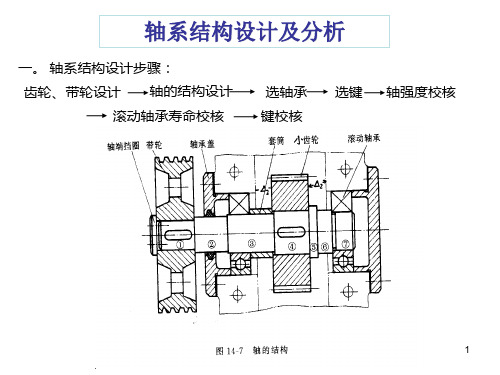 轴系结构设计及分析