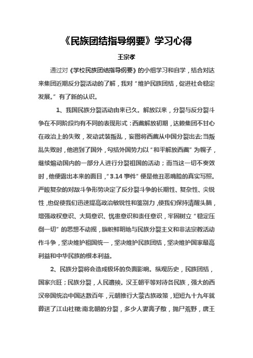 《民族团结教育指导纲要》学习心得