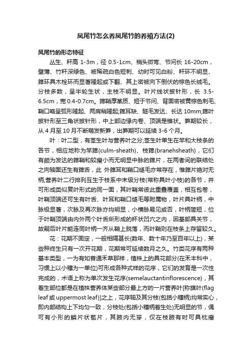 凤尾竹怎么养凤尾竹的养殖方法（2）