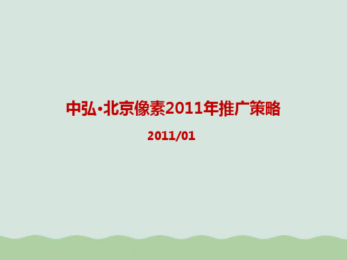 像素推广策略PPT(共65页)