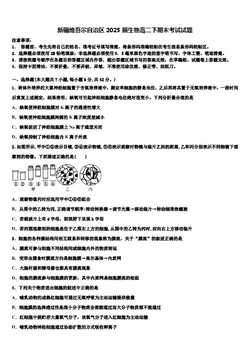 新疆维吾尔自治区2025届生物高二下期末考试试题含解析