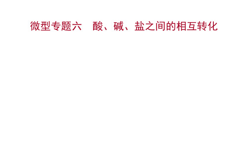 中考化学一轮复习微型专题六 酸、碱、盐之间的相互转化