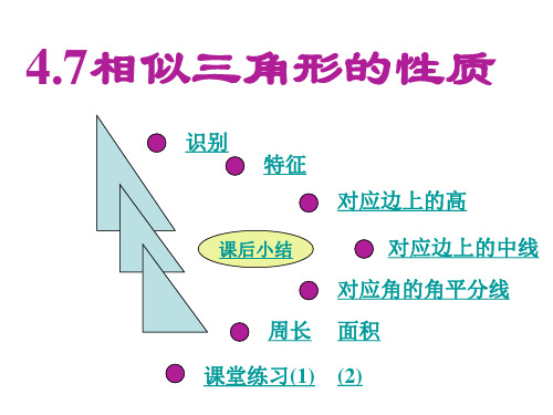 北师大版九年级数学上册4.7相似三角形的性质课件1 (共22张PPT)