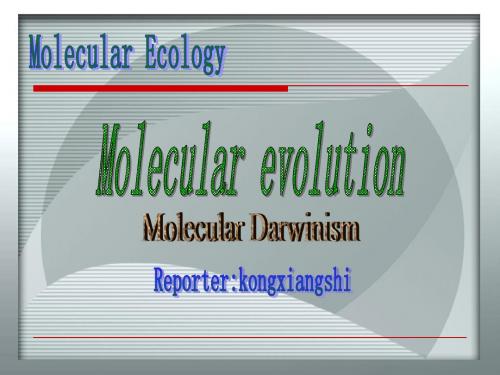 Molecular evolution