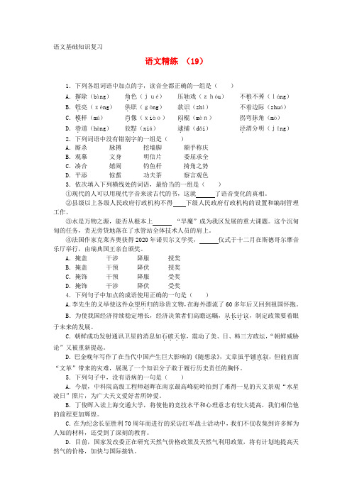 高考语文 复习直冲精练19