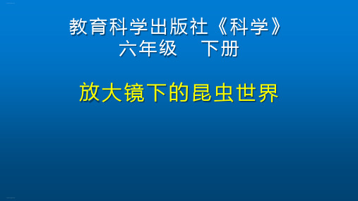 六年级下册科学课件《放大镜下的昆虫世界》1教科版42