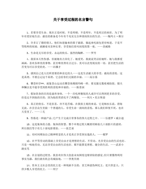 关于享受过程的名言警句