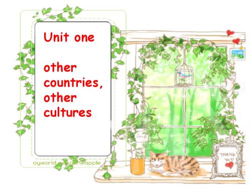 牛津译林版英语高三 Module 9《 Unit1 Other countries, other cultures》