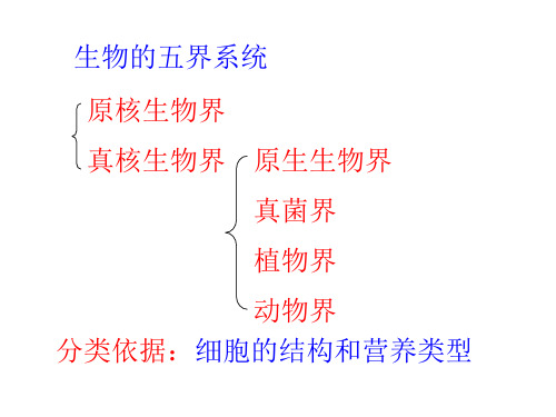 生物的五界系统